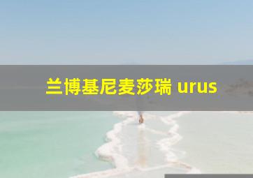 兰博基尼麦莎瑞 urus